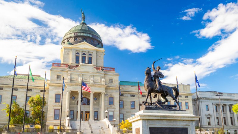 Case Study: Montana Electric Cooperatives’ Association